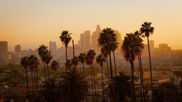 SEO Specialist Los Angeles